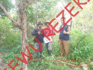 IRIGASI AIR TANAH DALAM, POKTAN HARAPAN MULYA (Pak Supardi)