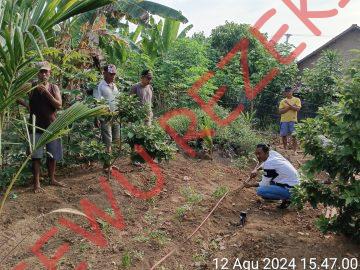 Geolistrik PAMSIMAS 2024 Kab. Pringsewu – Desa Gemah Ripah