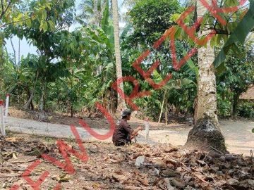 Geolistrik ADD Desa Bunut – Pesawaran Titik 3