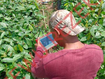 Geolistrik di Tanah Bapak Musadinul Sinar Harapan – Pesawaran