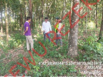 Geo Desa Kayu Batu – Way Kanan