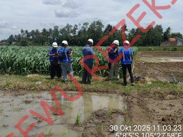 Geolistrik di Wonoharjo , Lampung Timur